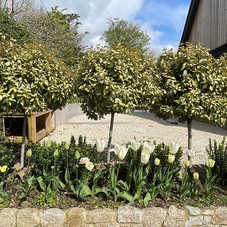 Ilsington Cedar House旅馆 外观 照片