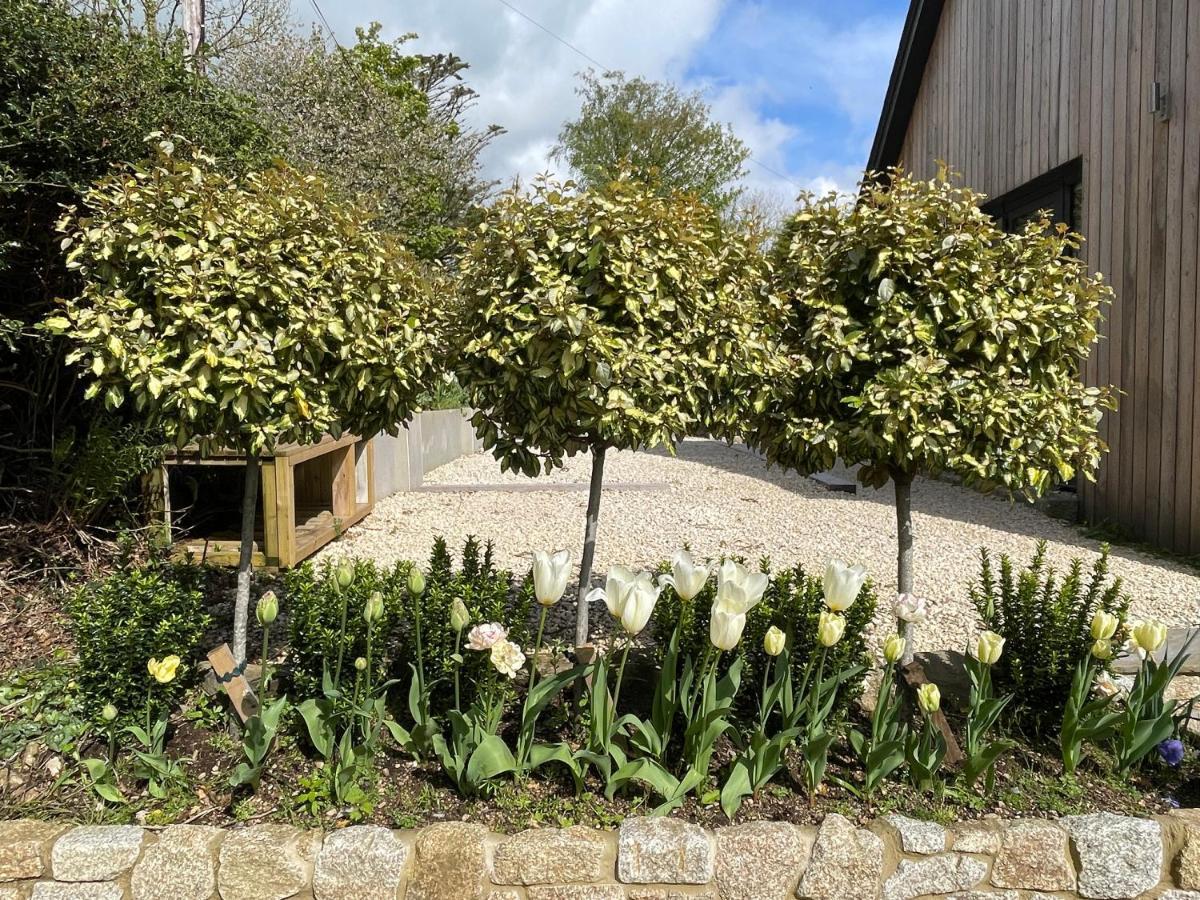 Ilsington Cedar House旅馆 外观 照片